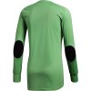 Detská brankárska mikina adidas Assita 17 GK JR zelená AZ5400