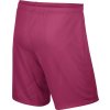 Šortky Nike Park II Knit Short NB 725887 616