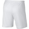 Šortky Nike M Dry Academy AJ9994 101