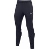 Pánske tepláky Nike Dri-FIT Academy M CW6122-451