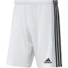 Šortky adidas Squadra 21 Short M GN5773