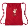 Vak na topánky Nike LFC Stadium GMSK - FA21 červený DD1507 687