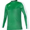 Pánsky futbalový brankársky dres Joma Academy T-Shirt L/S 101658.452