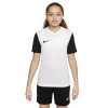 Detský futbalový dres Nike Dri-Fit Tiempo Premier 2 Jr DH8389-100 (Veľkosť XL (158-170cm))