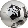 Futbalová lopta - Puma Big Cat 84214 03