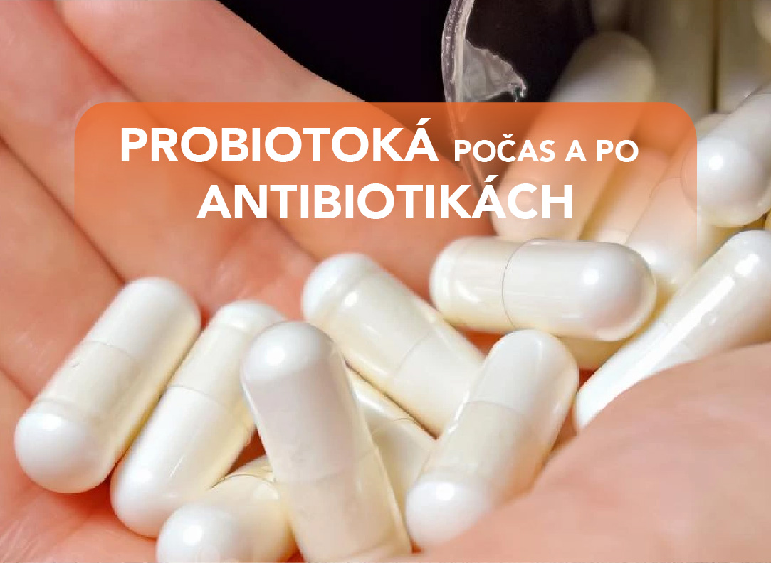 Probiotiká počas a po antibiotikách