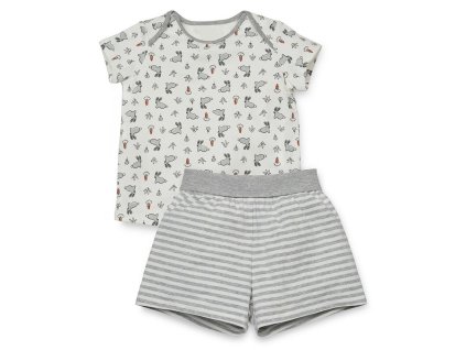 cd03c9d658c8a5a0ac3d2bf44e3cffdb