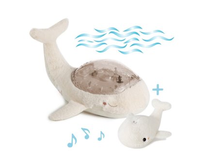 7497e22f0cc2a659c27cd3ae83915a5c