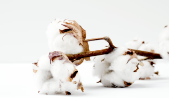 BIO ORGANICKÁ BAVLNA