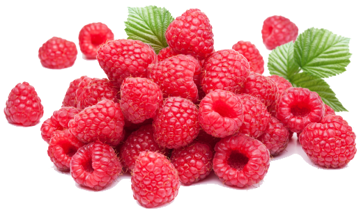 Raspberry-PNG-Photos