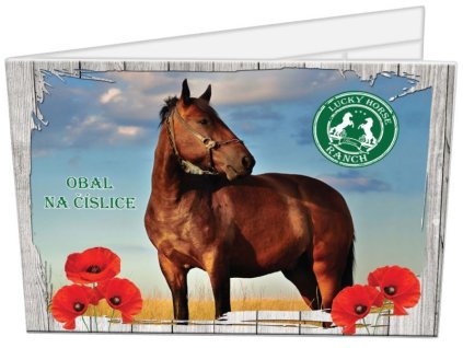 Obal na číslice - LUCKY HORSE 7707
