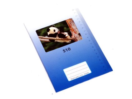 Školní sešit 510M 10 listů čistý