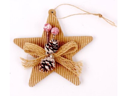 Vánoční dekorace Kraft hvězda 9420, vel. 10cm