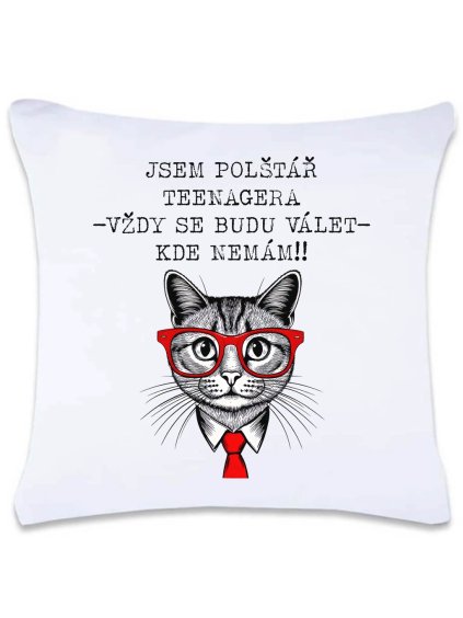 polštářek