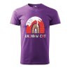 Pánské tričko s potiskem Rainbow cat (Barva trička (muži) NOVÉ Apple green, Velikost - všechny NOVÉ 2XL)