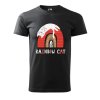 Pánské tričko s potiskem Rainbow cat (Barva trička (muži) NOVÉ Apple green, Velikost - všechny NOVÉ 2XL)