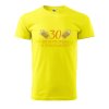 Pánské tričko s potiskem 30 let se propíjím (Barva trička (muži) NOVÉ Apple green, Velikost - všechny NOVÉ 2XL)