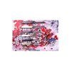 4869 4 japonsky nuz higonokami mini s modrym pouzdrem e