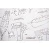 Mantua Model Thermopylae 1:124 kit
