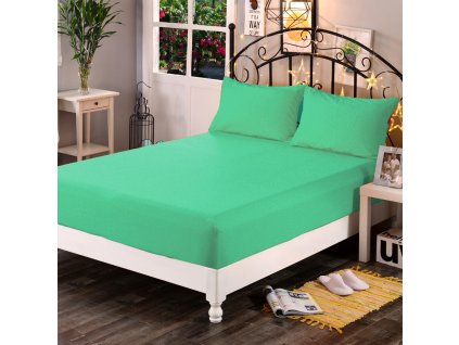 Aaryans Froté prostěradlo pastelově Zelená