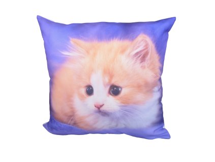Dekorační polštářek Kotě 45 x 45 cm