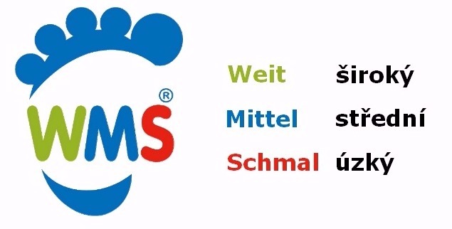 WMS