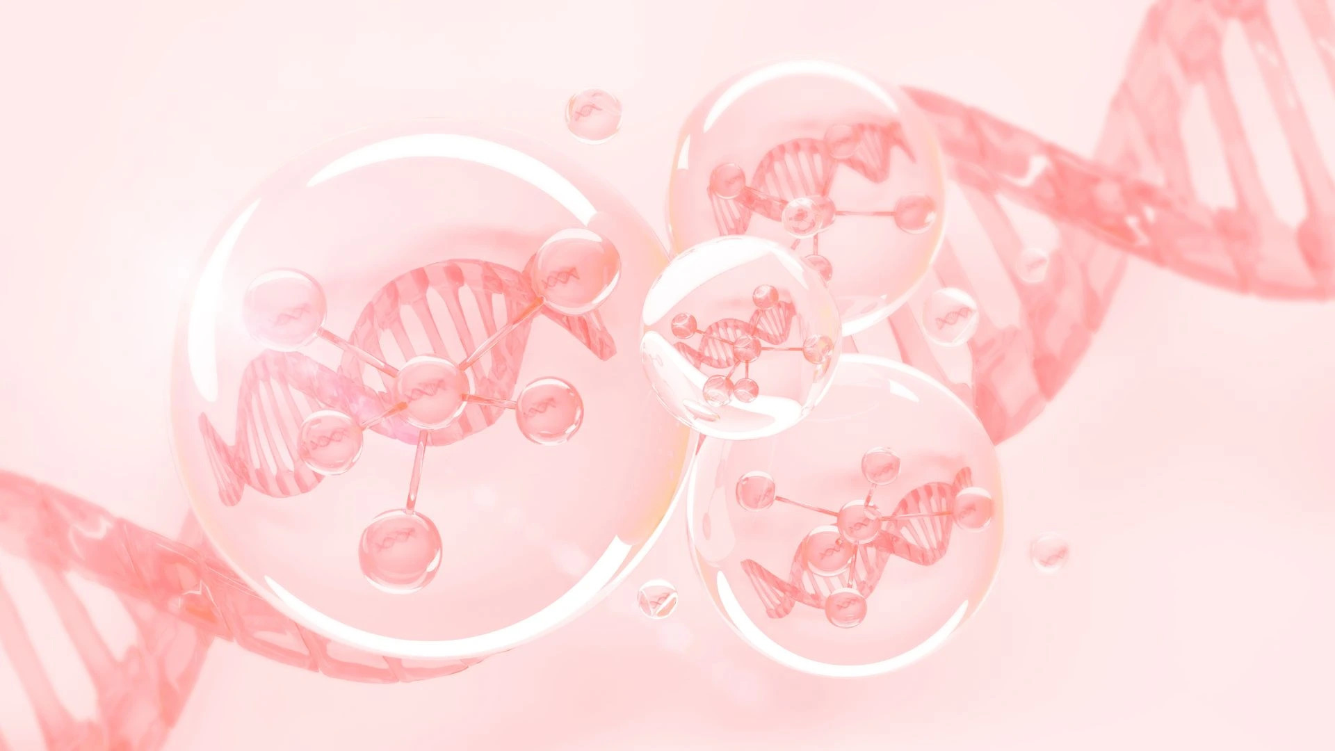 Karnosin: revoluční přípravek boji proti stárnutí