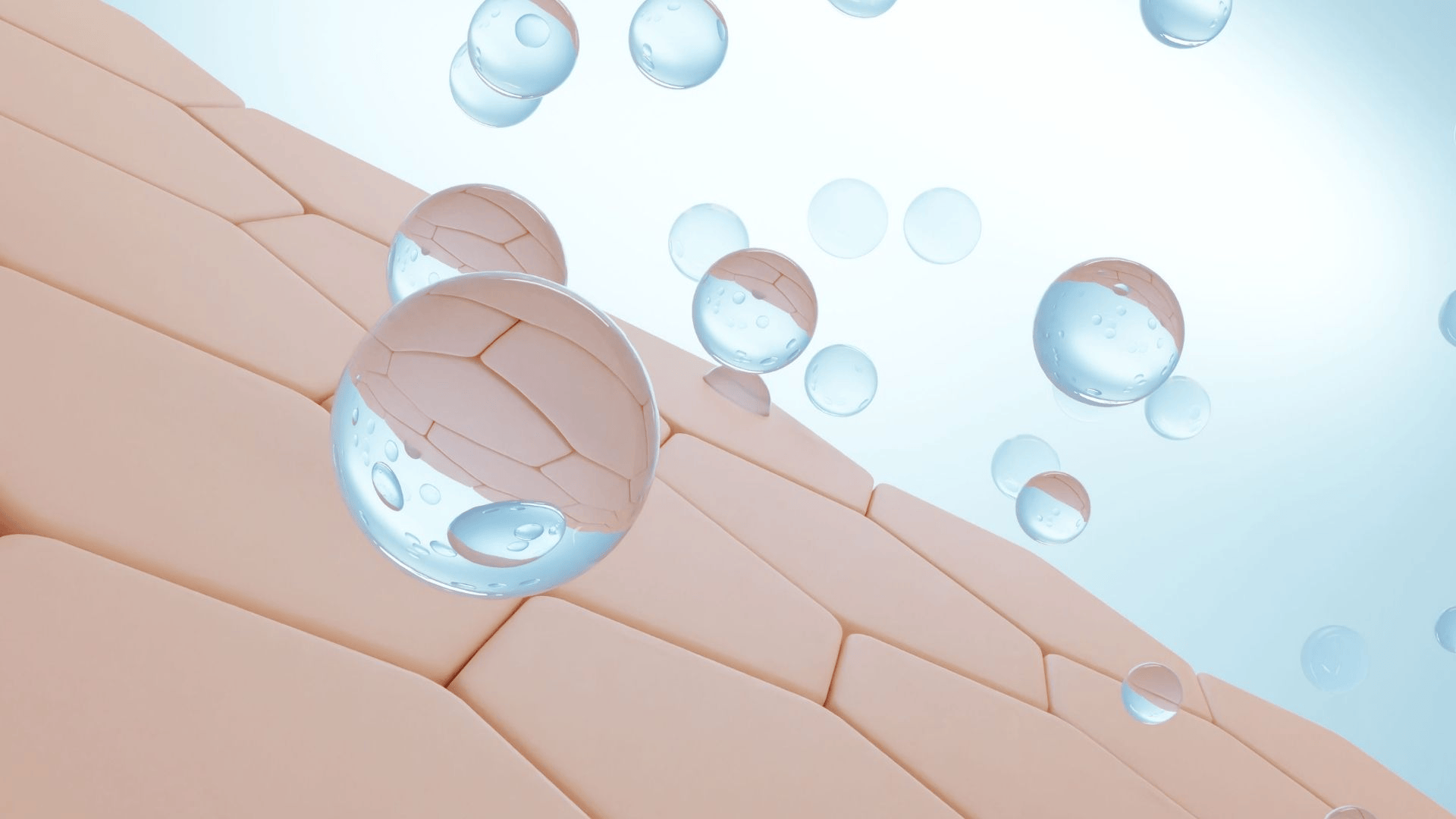 kolegen_po_25_rokocha