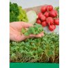 Garden Seed Mikrozelenina – Ředkvička 1ks