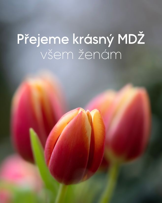 Všem ženám jen to nejlepší ke dni žen🌷 #superstrava #mdž #mezinarodnidenzen #krasnysvatek #krásnýden