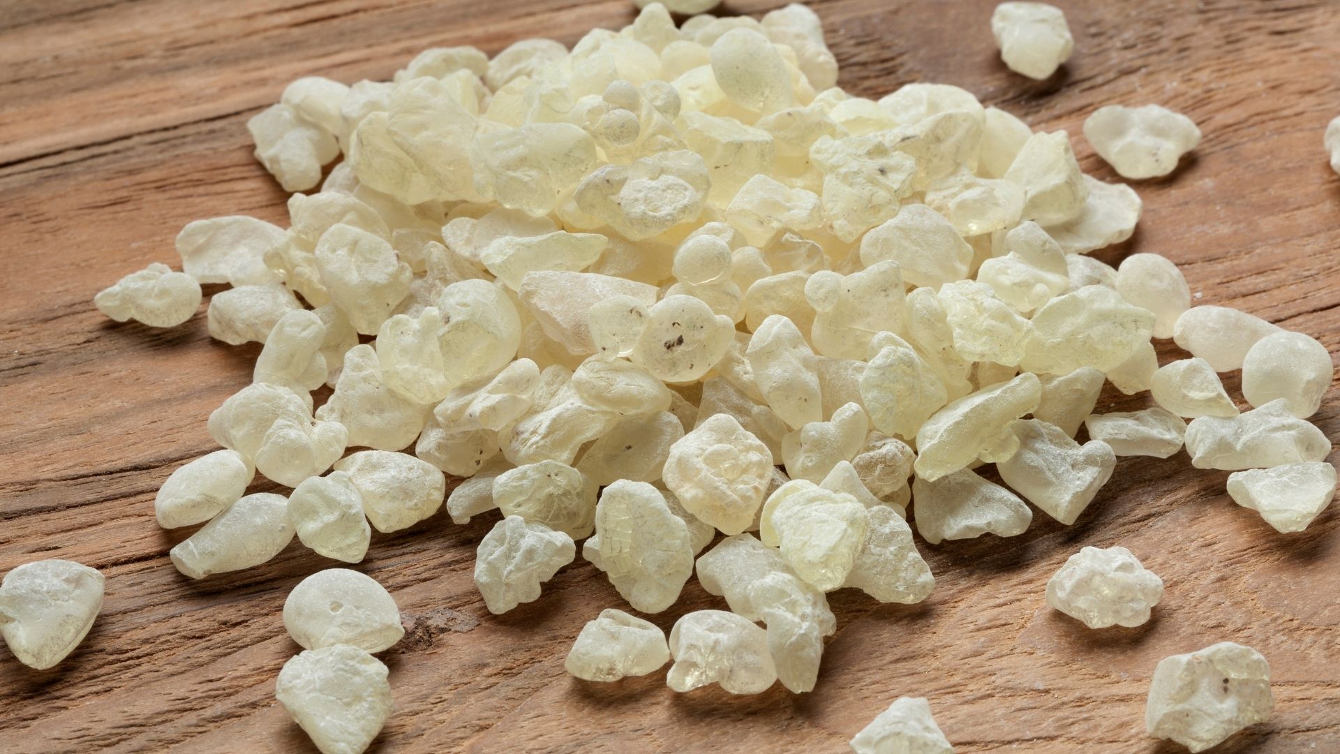 Chioská masticha – všetko, čo potrebujete vedieť