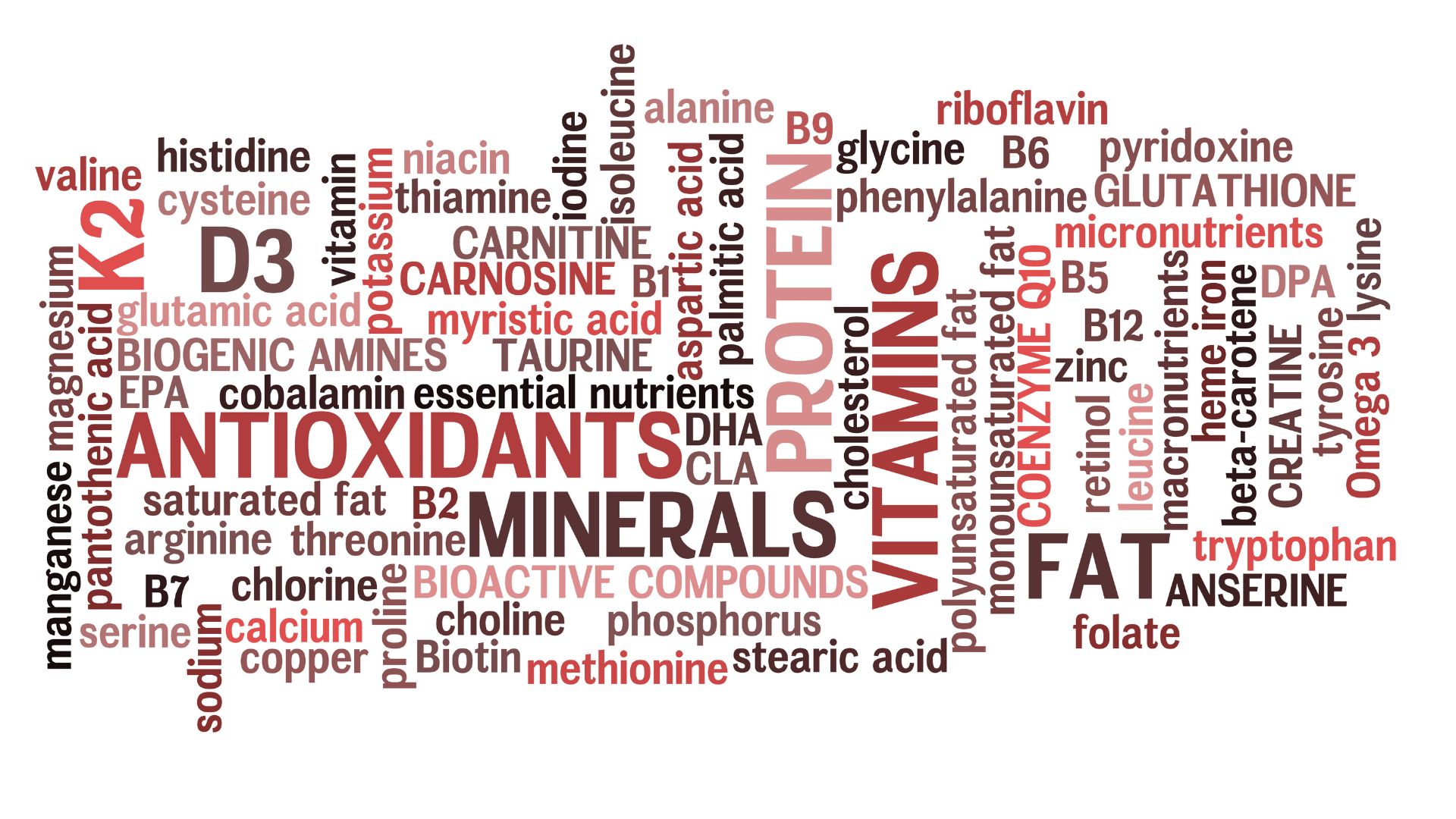 Micronutrienții: Caracteristicile, funcțiile și beneficiile lor