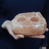Natural Salt Candle Holder - 2 Holes 1pc