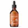 cordyceps tintura madre