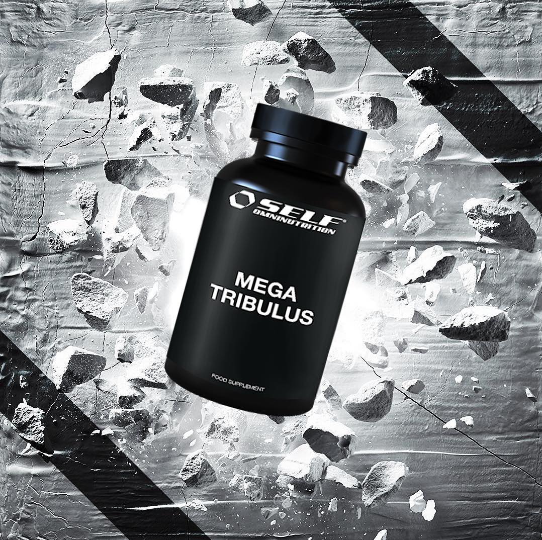 45559765_2789044221319953_8062489974988188091_n