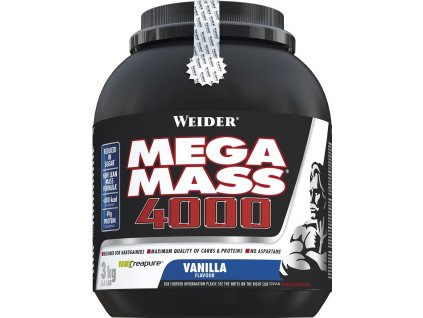 Giant Mega Mass 4000