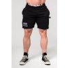 Teplákové kraťasy GYM BRO 352