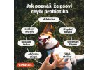 infografika priznaky