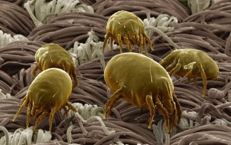 Jarné upratovanie spálne! Na ktoré veci si rozhodne dajte pozor?