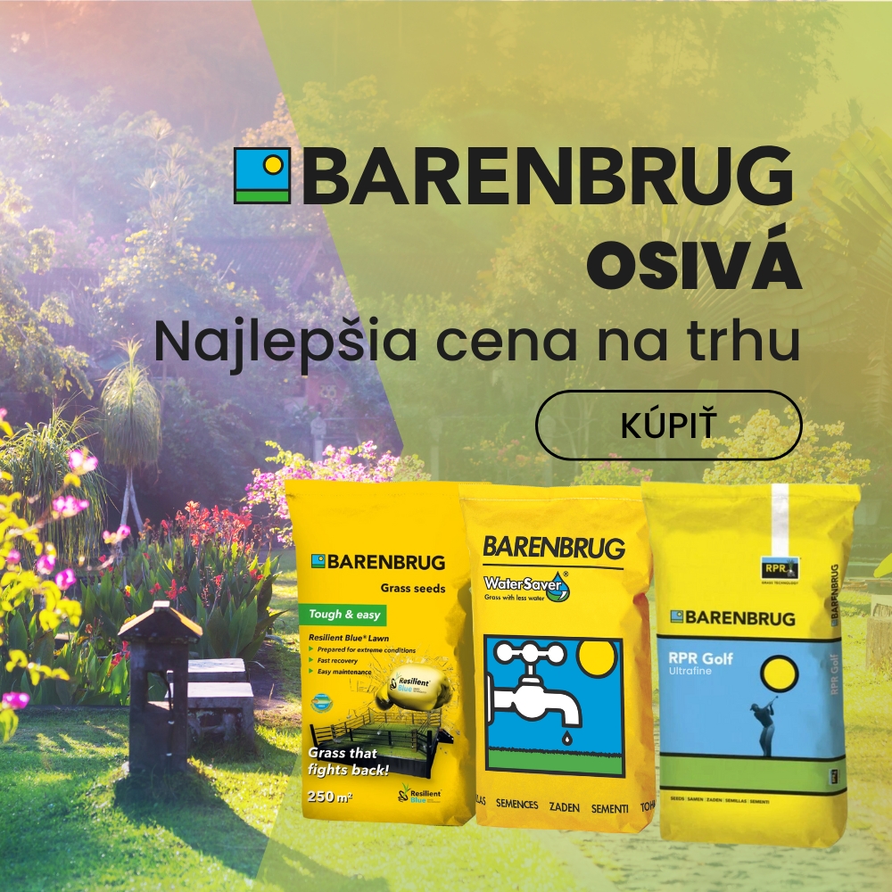 Osivá Barenbrug