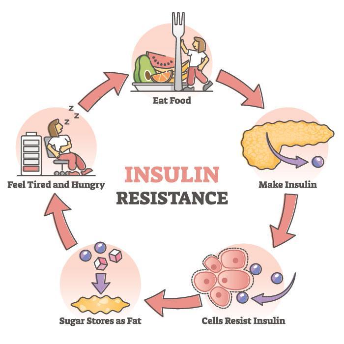 Insulinová resistence