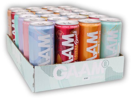 GAAM 24x Energetický Nápoj GAAM 330ml (Varianta blueberry raspberry)
