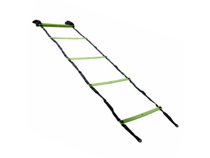 agilityzebrikpowersystem