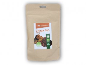 Zdravý den Chaga BIO 100g