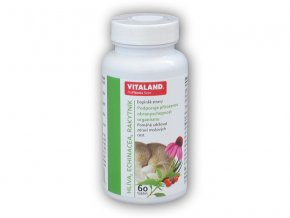 Vitaland Vitaland Hlíva+ Echinacea+ Rakytník 60 kapslí