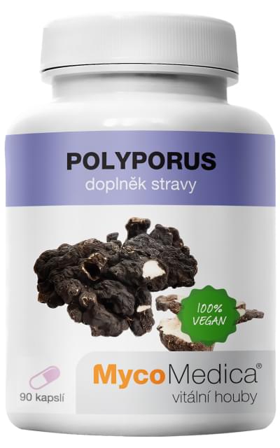 MycoMedica Polyporus 90 kapslí + šťavnatá tyčinka ZDARMA + DÁREK ZDARMA