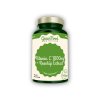 GreenFood Nutrition Vitamín C 1000 + extrakt šípků 60 kapslí