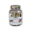 Golden Natur Exclusive Cordyceps sinesis CS-4 50% polysacharidů 100 kapslí  + šťavnatá tyčinka ZDARMA