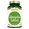 GreenFood Nutrition Astragalus extract 90 kapslí