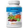 MycoMedica MycoSleep sypká směs pro přípravu nápoje 90g  + šťavnatá tyčinka ZDARMA